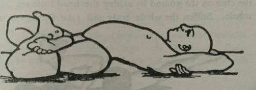 WhatsApp Image 2024-04-20 at 10.49.13 PM.jpeg