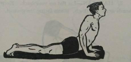 WhatsApp Image 2024-04-20 at 10.49.13 PM (1).jpeg