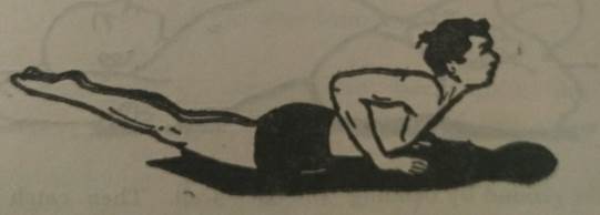 WhatsApp Image 2024-04-21 at 10.45.13 AM.jpeg