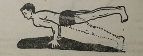 WhatsApp Image 2024-04-20 at 10.49.15 PM.jpeg