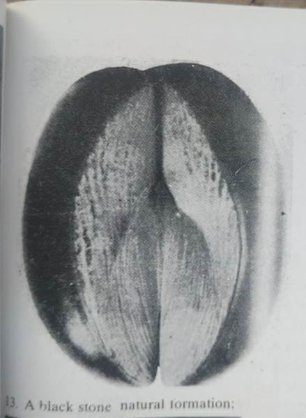 WhatsApp Image 2023-11-22 at 10.12.04 PM (1).jpeg